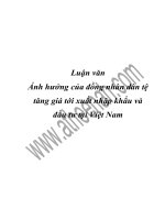 luận văn ảnh hưởng của đồng nhân dân tệ tăng giá tới xuất nhập khẩu và đầu tư tại việt nam
