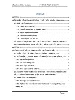 KHÓA LUẬN   KINH tế đầu tư  CÔNG TY cổ PHẦN địa ốc TÂN CẢNG