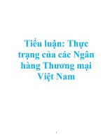 tiểu luận  thực trạng của các ngân hàng thương mại việt nam