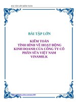 tiểu luận  kiểm toán tình hình hoạt động kinh doanh của công ty cổ phần sữa việt nam vinamilk