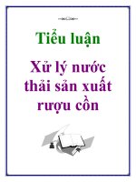 Xử lý nước thải sản xuất rượu cồn pot