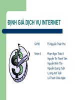 tiểu luận định giá dịch vụ internet