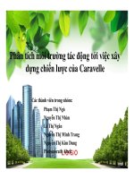 tiểu luận  phân tích môi trường tác động tới việc xây dựng chiến lược của caravelle