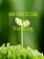 Thực trạng ô nhiễm nguồn nước ở Việt Nam