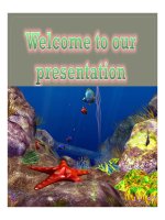 thuyết minh  chiến lược đại dương xanh