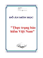 đề án ''''thực trạng bảo hiểm vn''''