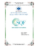 tiểu luận quản trị chất lượng  tiêu chuẩn sqf