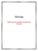 tiểu luận  nghiên cứu hệ sản phẩm của khách sạn caravelle