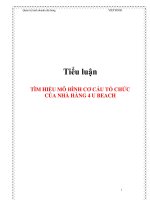 tiểu luận  tìm hiểu mô hình cơ cấu tổ chức của for you (4u)