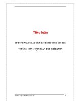 tiểu luận sử dụng nguồn nhân lực đòn bẩy để mở rộng lợi thế -trường hợp tập đoàn dầu khí exxon