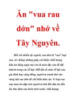 Cây dương xỉ: Rau vua là biểu tượng văn hóa tây nguyên, Cây dương xỉ cải tạo đất  và là nguồn dược liệu quý