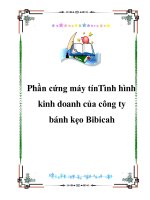 Tình hình kinh doanh của công ty bánh kẹo Bibica ppt