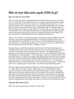 Đầu tư trực tiếp nước ngoài FDI