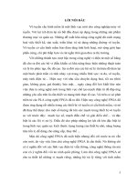 Thiết kế module xử lý trong thiết bị vô tuyến cấu hình mềm dựa trên công nghệ FPGA