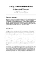 Tài liệu tham khảo quản trị marketing valuing brands and brand equity