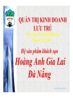 tiểu luận  hệ sản phẩm khách sạn hoàng anh gia lai đà nẵng