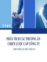 Phân tích các phương án chiến lược cấp công ty (phân tích cấu trúc công ty)