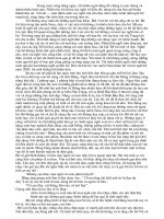 Bài văn về người bố của tôi