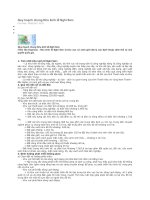 Khu kinh tế Nghi Sơn pdf