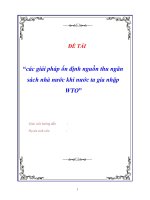 đề tài  các giải pháp ổn định nguồn thu ngân sách nhà nước khi nước ta gia nhập wto