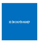 xe ôm chuyên nghiệp