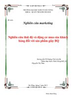 tiểu luận  nghiên cứu thái độ và động cơ mua của khách hàng đối với sản phẩm giày bq