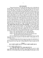 XÂY DỰNG HỆ PHÁT TRIỂN CHO CÁC HỆ MICROCONTROLLER