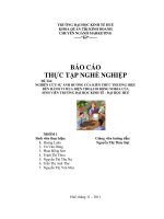 tiểu luận nghiên cứu sự ảnh hưởng của kiến thức thương hiệu đến hành vi mua điện thoại di động nokia của sinh viên trường đại học kinh tế- đại học huế