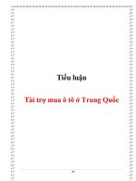 tiểu luận  tài trợ mua ô tô ở trung quốc