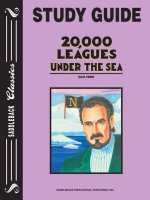 20,000 Leagues Under the Sea pot