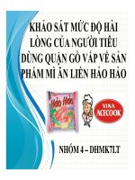 tiểu luận  khảo sát mức độ hài lòng của người tiêu dùng quận gò vấp về sản phẩm mì ăn liền hảo hảo