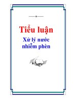 Xử lý nước nhiễm phèn ppt
