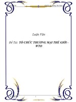 đề tài '''' tổ chức thương mại thế giới - wto ''''