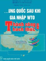 Trung Quốc sau khi gia nhập WTO thành công và thách thức doc