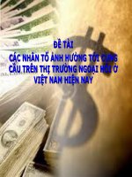 CÁC NHÂN TỐ ẢNH HƯỞNG TỚI CUNG CẦU TRÊN THỊ TRƯỜNG NGOẠI HỐI Ở VIỆT NAM HIỆN NAY
