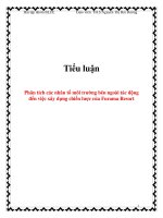 tiểu luận  phân tích các nhân tố môi trường bên ngoài tác động đến việc xây dựng chiến lược của furama resort