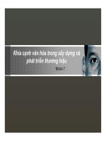 tiểu luận  khía cạnh văn hóa trong xây dựng và phát triển thương hiệu