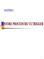 CHƯƠNG 5 STORE PROCEDURE VÀ TRIGGER - Bài 10: Cơ bản về lập trình bằng T_SQL ppt