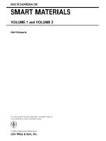 ENCYCLOPEDIA OFSMART MATERIALS VOLUME 1 and VOLUME 2 pot
