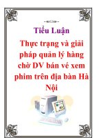 Tiểu Luận: Thực trạng và giải pháp quản lý hàng chờ DV bán vé xem phim trên địa bàn Hà Nội docx