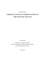 Chemistry of the lichen type common in southern Vietnam pptx
