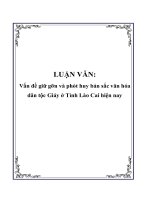 LUẬN VĂN: Vấn đề giữ gỡn và phát huy bản sắc văn hóa dân tộc Giáy ở Tỉnh Lào Cai hiện nay pptx