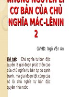 Đề tài: Chủ nghĩa tư bản độc quyền là giai đoạn phát triển cao của chủ nghĩa tư bản tự do cạnh tranh, mà giai đoạn tột cùng của nó là chủ nghĩa tư bản độc quyền nhà nước docx