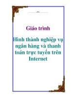 Giáo trình: Hình thành nghiệp vụ ngân hàng và thanh toán trực tuyến trên Internet doc