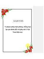 LUẬN VĂN: Vi phạm pháp luật phòng, chống bạo lực gia đình đối với phụ nữ ở Việt Nam hiện nay doc