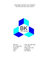 Tiểu Luận: Công ty cổ phần nguyên phụ liệu công ty Bình An ppt