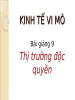 Kinh tế vi mô - Thị trường độc quyền doc