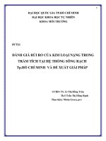 Đánh giá rủi ro của kim loại nặng trong trầm tích tại hệ thống sông rạch Tp. Hồ Chí Minh và đề xuất giải pháp pdf