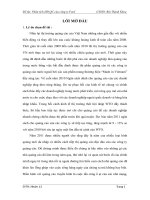 Báo cáo đề tài :