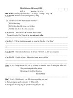 Đề thi kiểm tra chất lượng CHKI môn Tiếng việt lớp 3 pptx